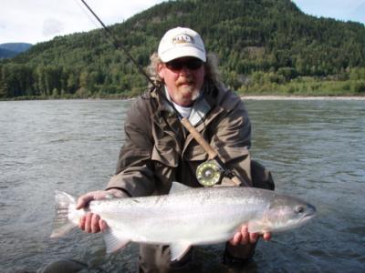 The photo of the week shows Kalum River Lodge guest Troy Adams with his beautiful, bright, wild, summer-run Skeena River Steelhead doe landed on September 8, 2007.  Troy is a repeat guest and just loves to fly fish for Steelhead.  The other fish (Salmon)